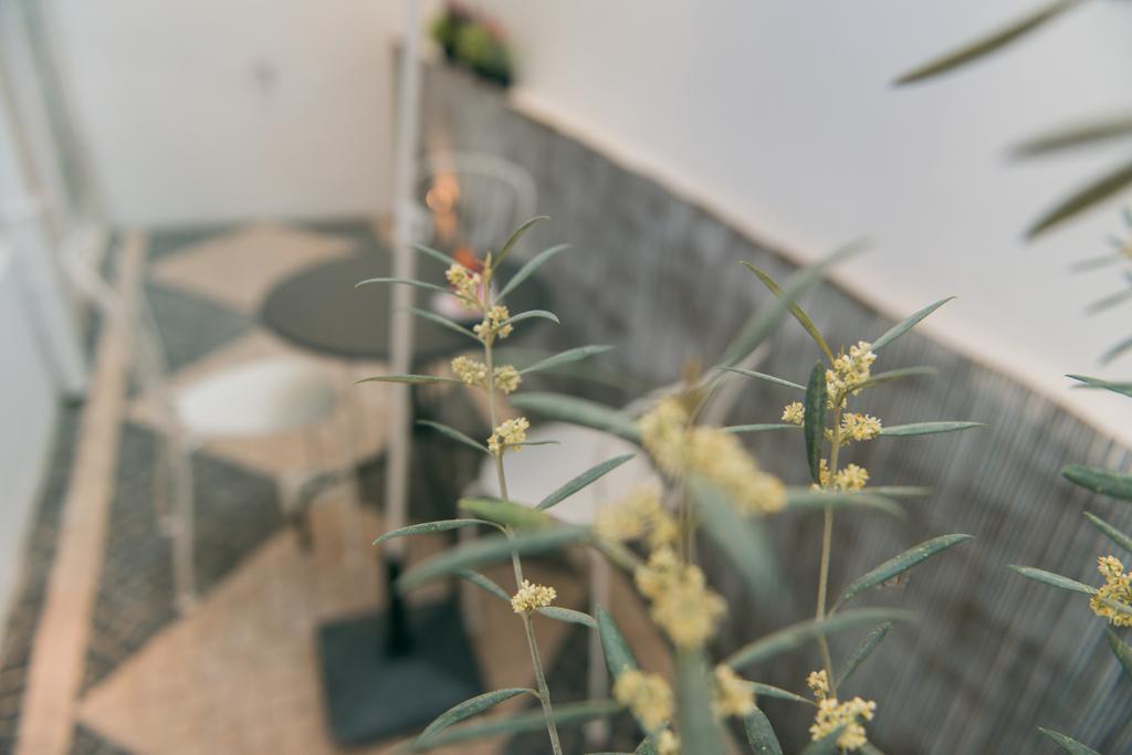 Apartamento Entre O Carmo E A Trindade